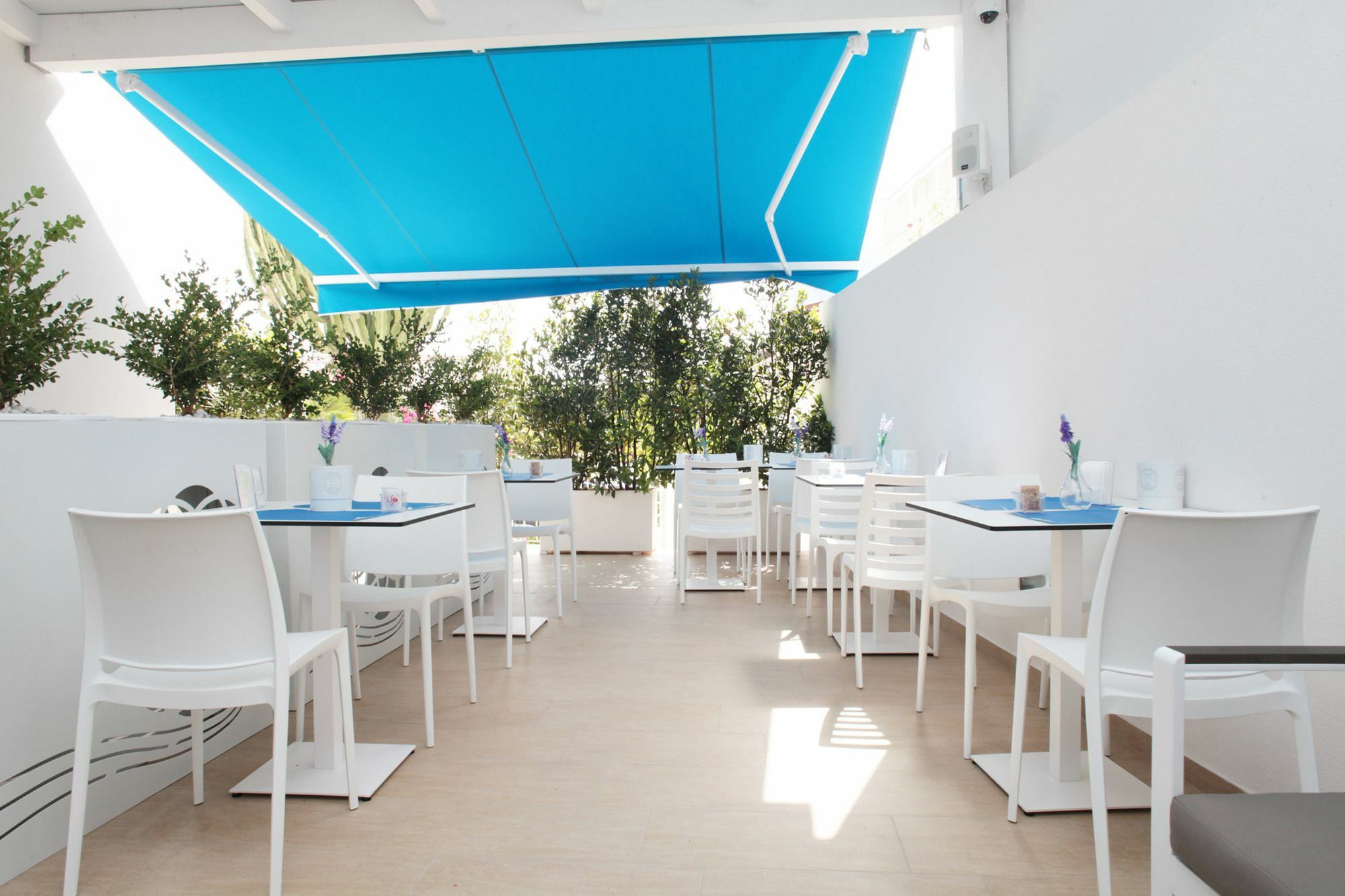 Rivazzurra Design Rooms San Vito Lo Capo Dış mekan fotoğraf