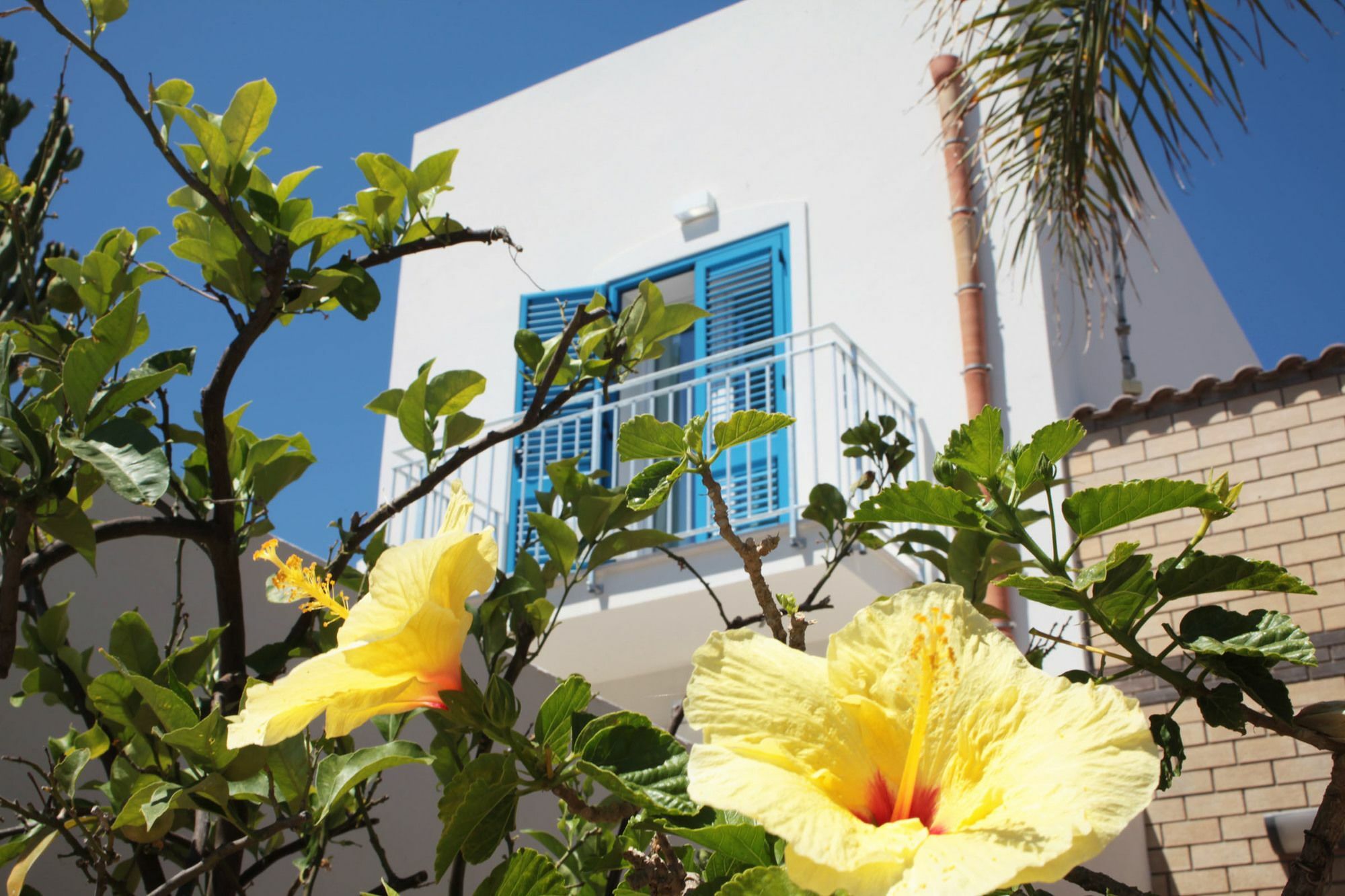 Rivazzurra Design Rooms San Vito Lo Capo Dış mekan fotoğraf